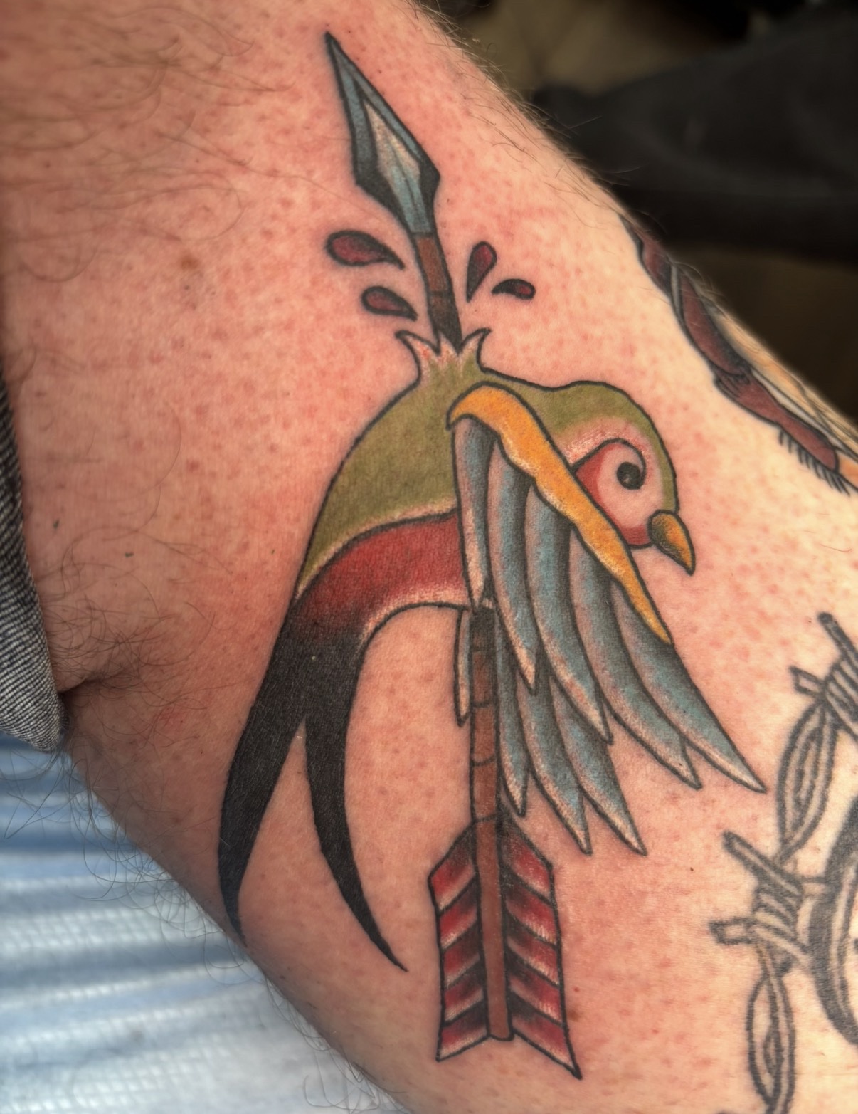 Traditional bird tattoo with arrow